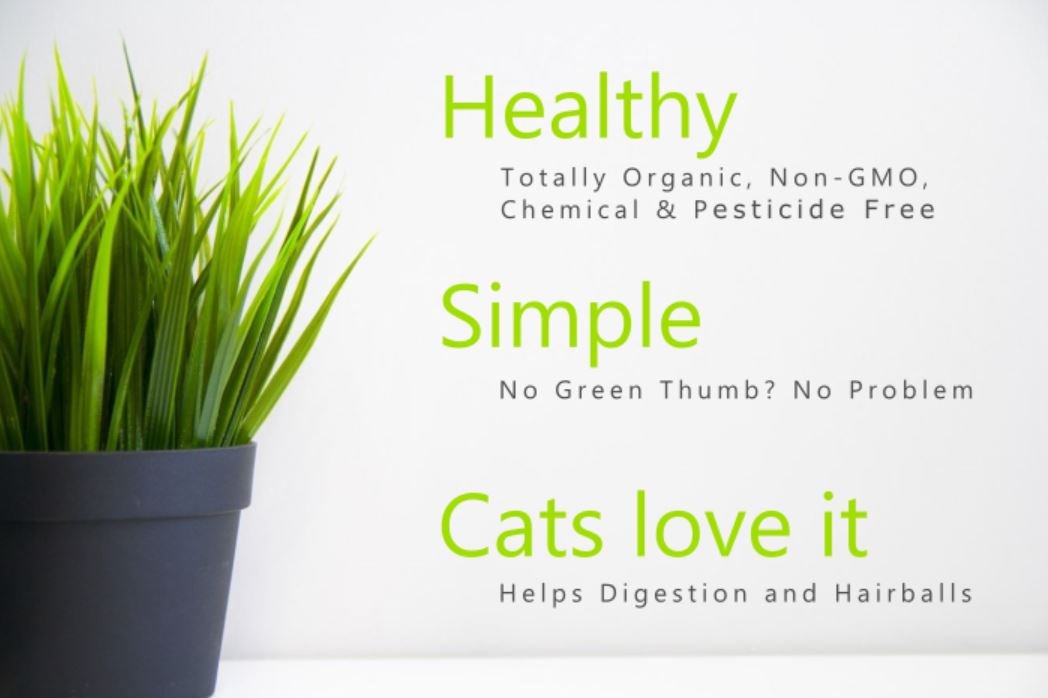 100% Organic Cat Grass Seed Mix, 4 Ounce F2720