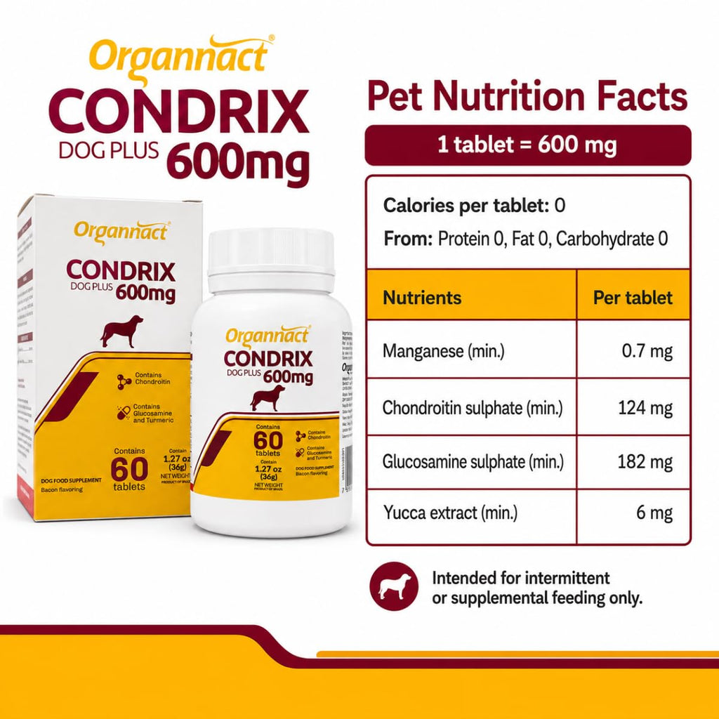 Bacon Flavored Glucosamine Chondroitin Turmeric Dog Supplement 60 Count B11832