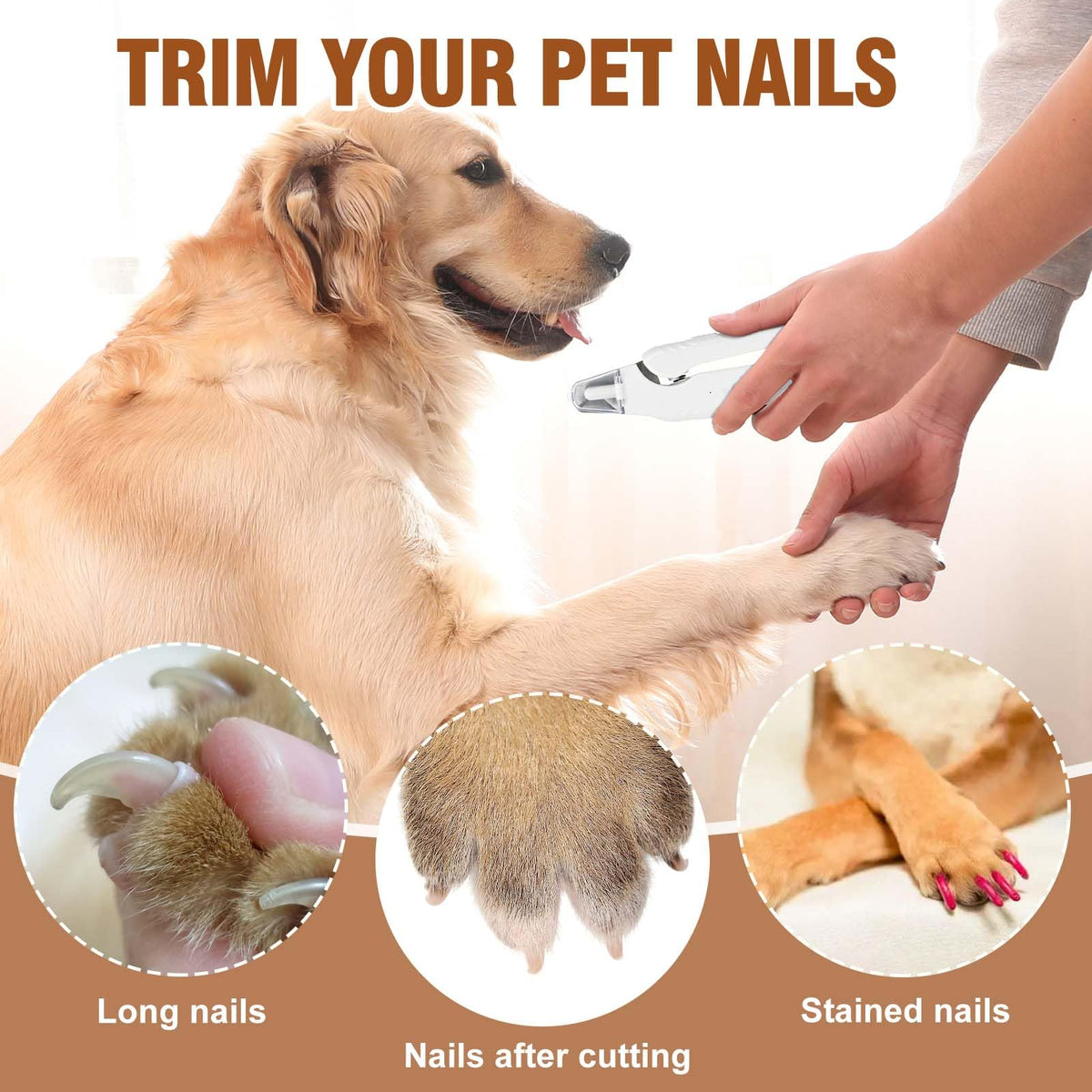 2-in-1 Dog Nail Grinder & Clippers with Light W4892
