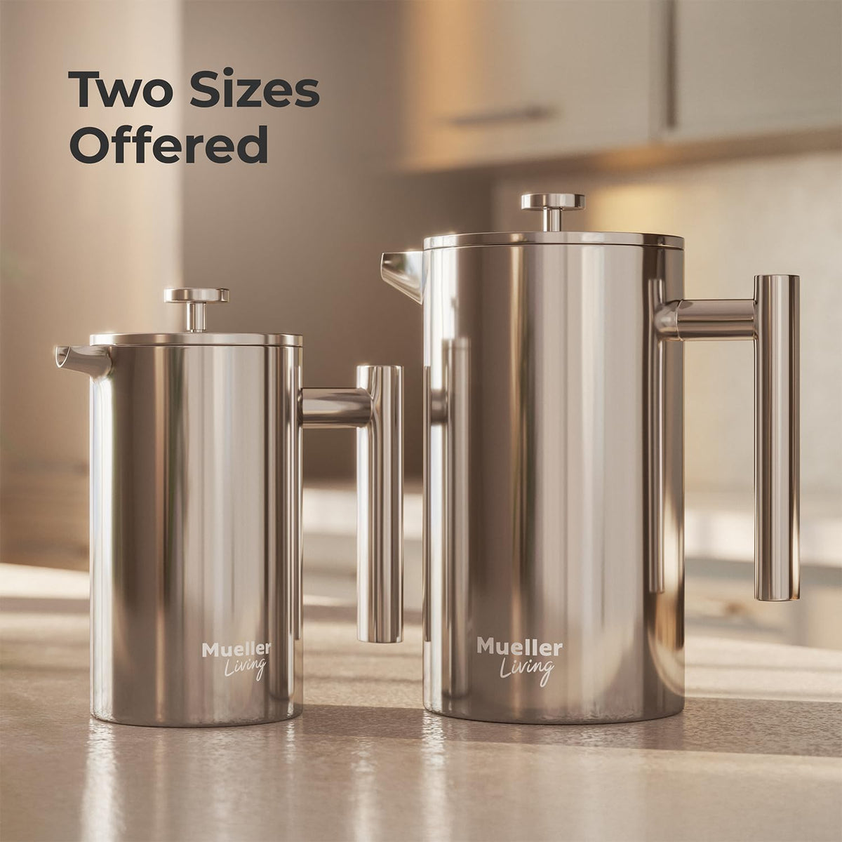 20oz Stainless Steel French Press Coffee Maker S813216