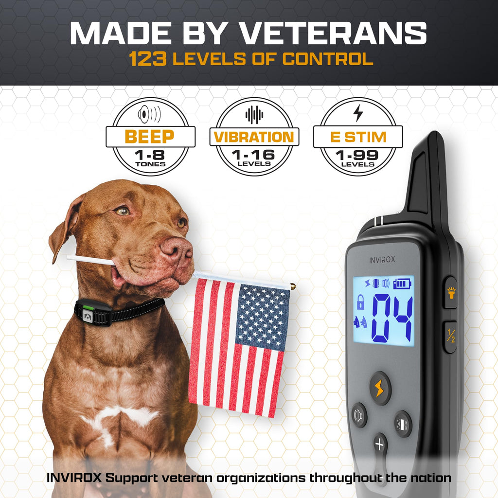 Dog Training Collar with Remote D750382