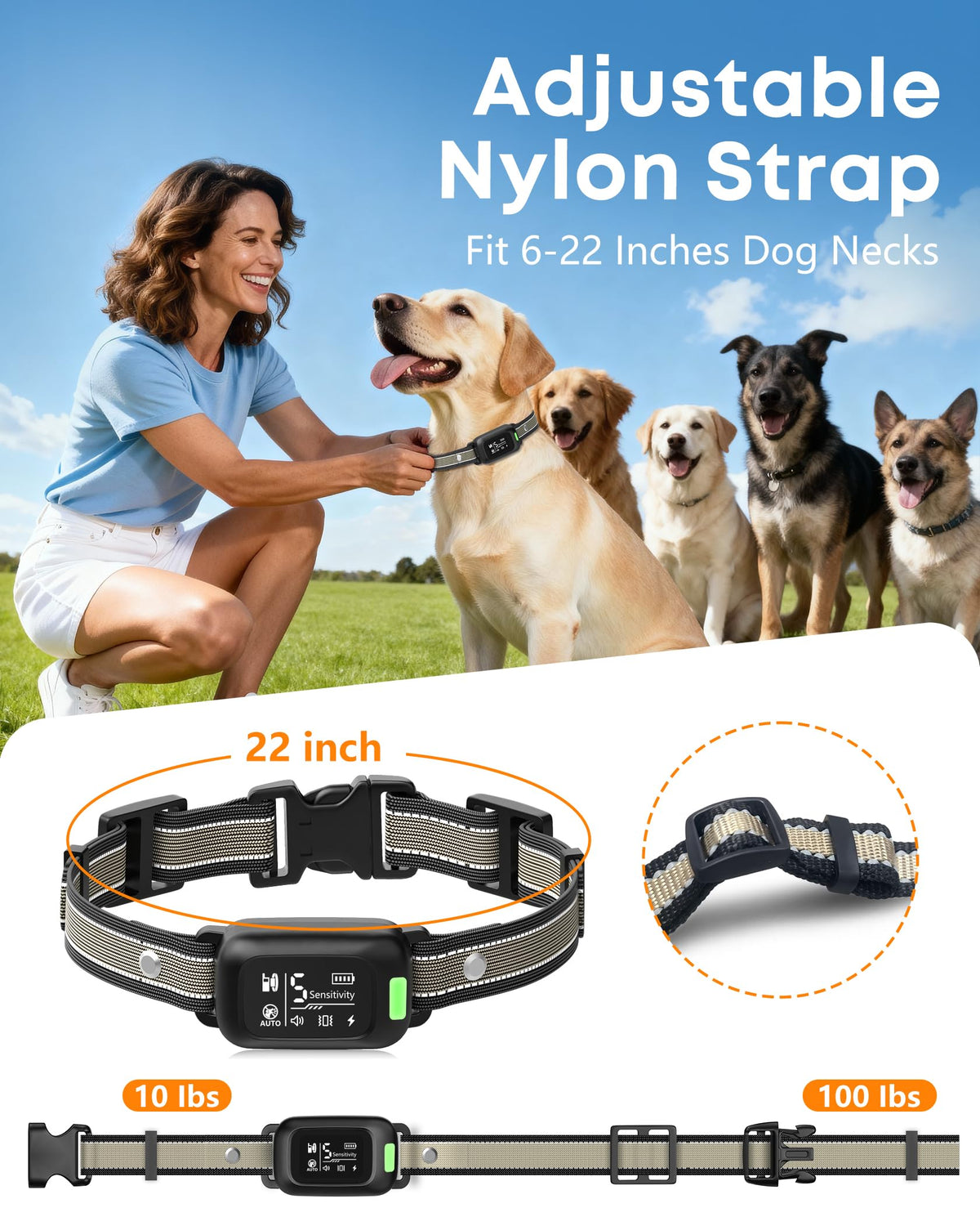 2-in-1 Dog Bark & Shock Collar with Remote R408
