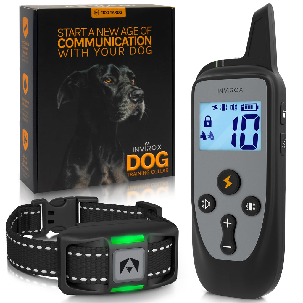 Dog Training Collar with Remote D750382