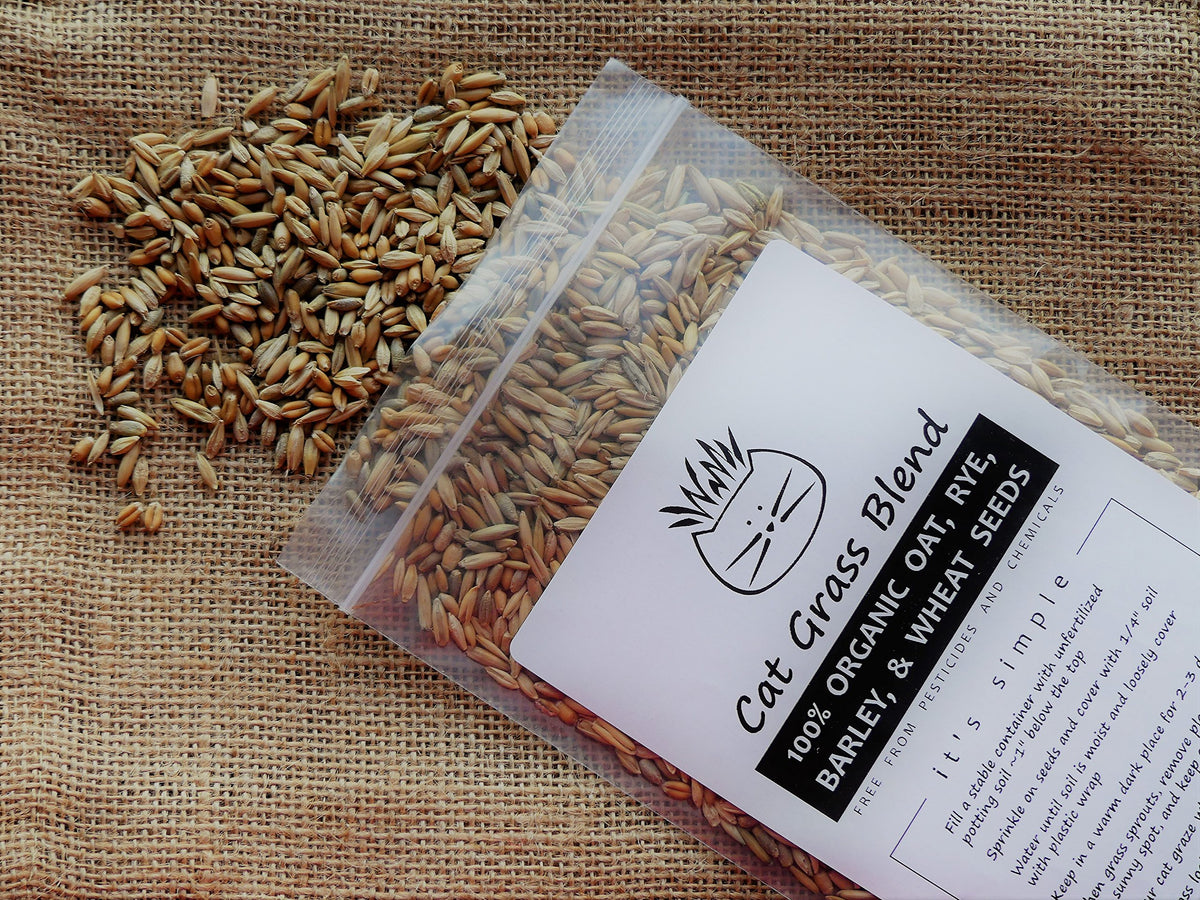 100% Organic Cat Grass Seed Mix, 4 Ounce F2720